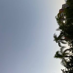 Meet your Posher, Adriano